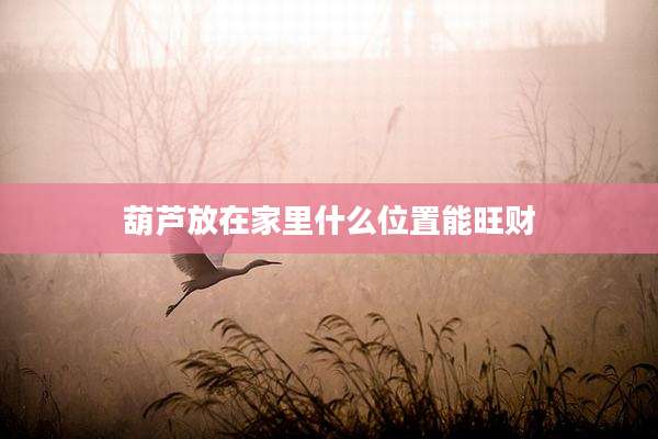 葫芦放在家里什么位置能旺财