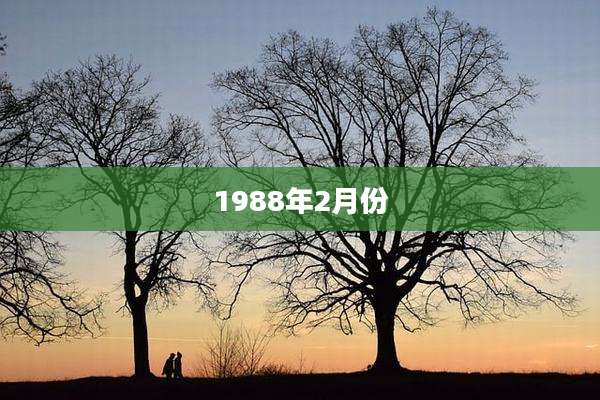 1988年2月份