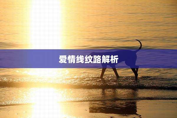 爱情线纹路解析