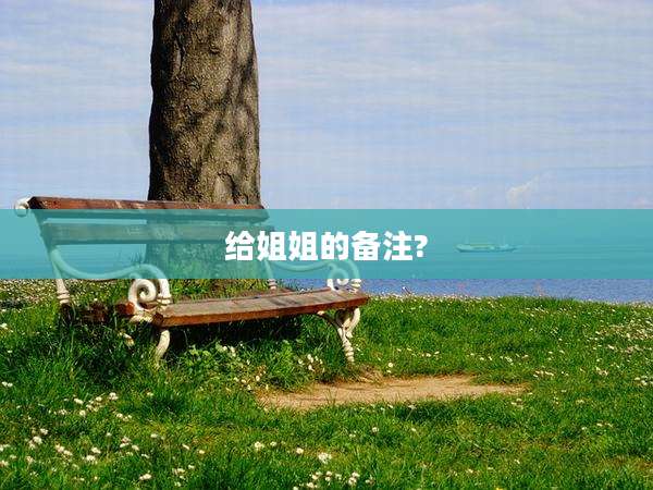 给姐姐的备注?