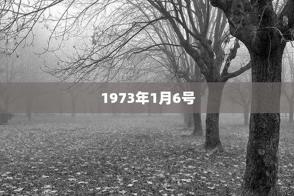 1973年1月6号