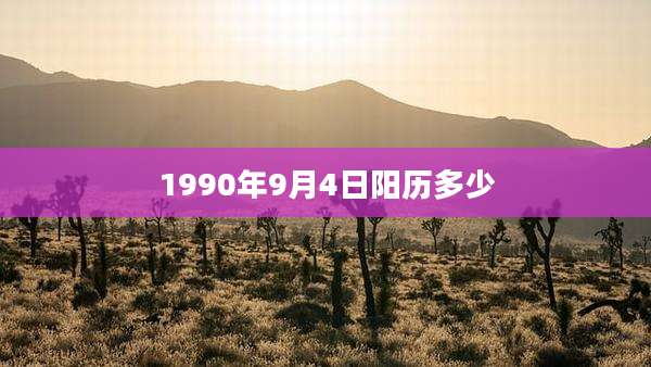 1990年9月4日阳历多少