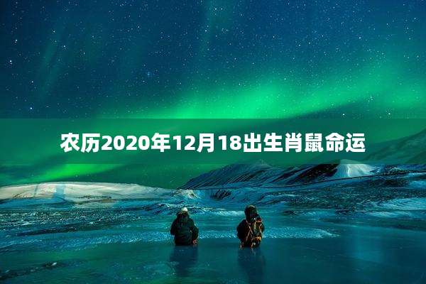 农历2020年12月18出生肖鼠命运