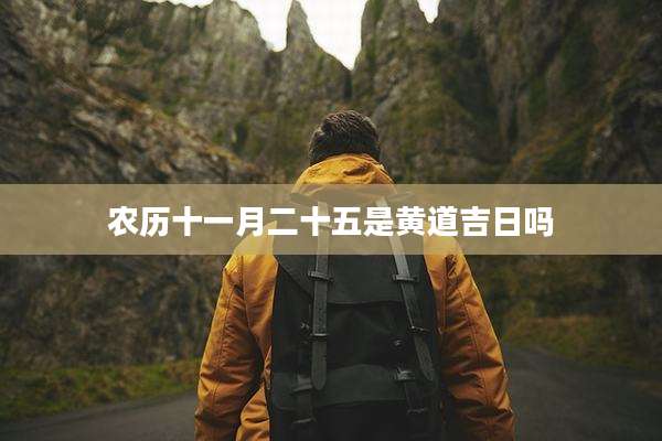 农历十一月二十五是黄道吉日吗