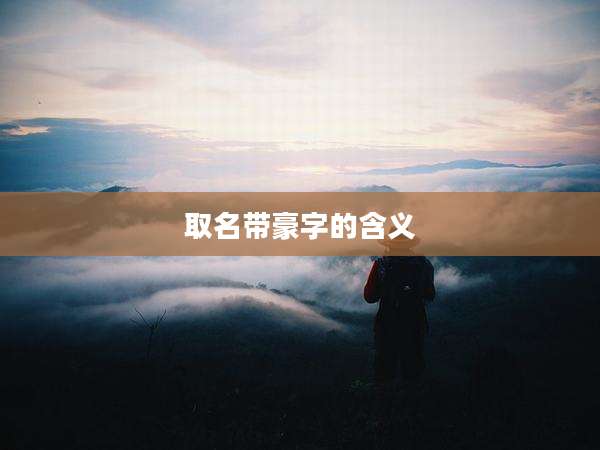 取名带豪字的含义