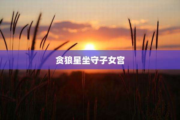 贪狼星坐守子女宫
