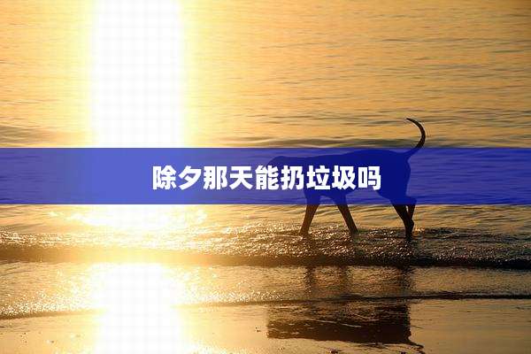除夕那天能扔垃圾吗