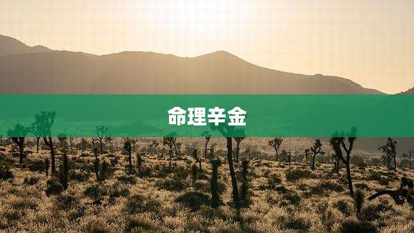 命理辛金
