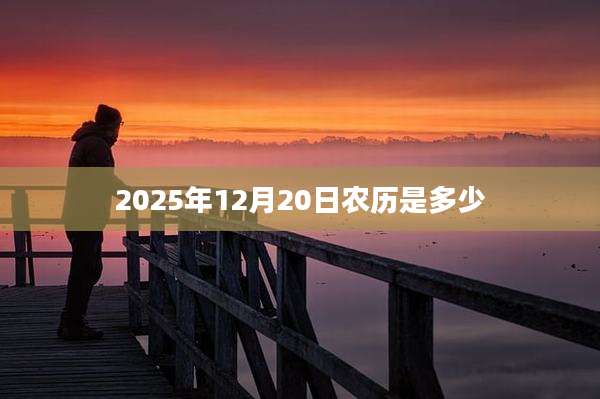 2025年12月20日农历是多少