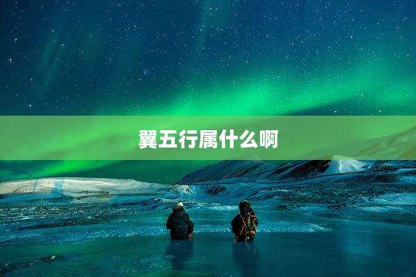 翼五行属什么啊