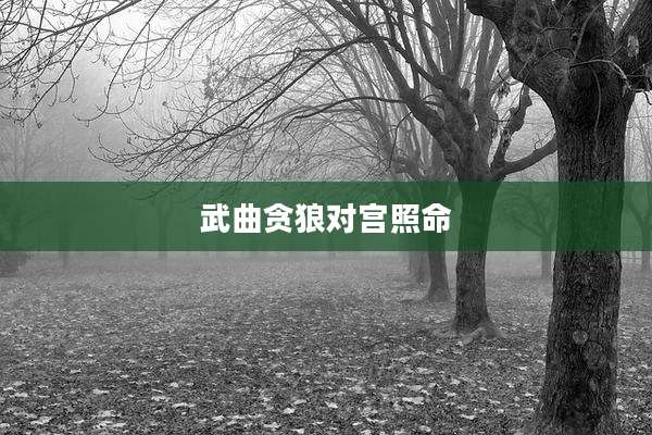 武曲贪狼对宫照命