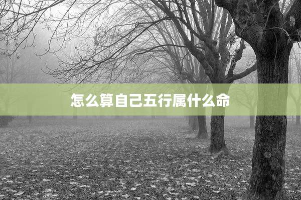 怎么算自己五行属什么命