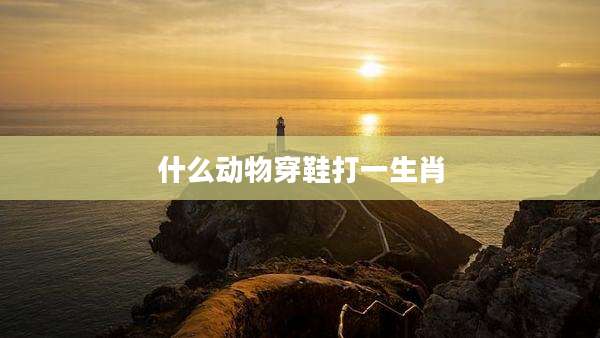 什么动物穿鞋打一生肖