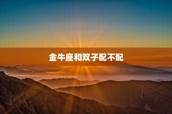 金牛座和双子配不配