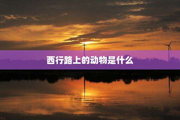 西行路上的动物是什么