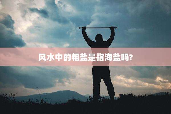 风水中的粗盐是指海盐吗?