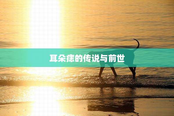 耳朵痣的传说与前世