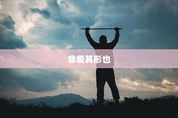 非爱其形也
