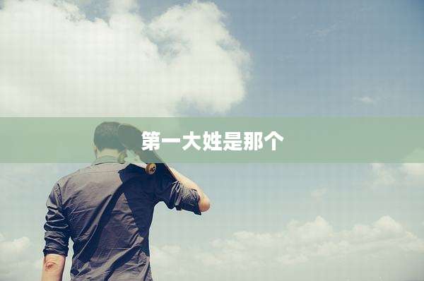 第一大姓是那个