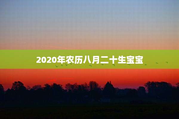 2020年农历八月二十生宝宝