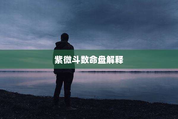 紫微斗数命盘解释