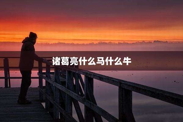 诸葛亮什么马什么牛