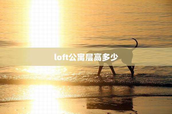 loft公寓层高多少