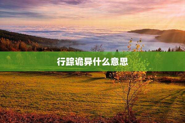 行踪诡异什么意思