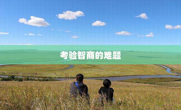 考验智商的难题