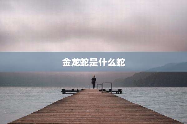 金龙蛇是什么蛇