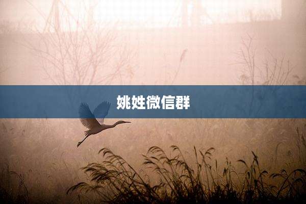 姚姓微信群