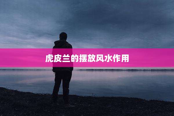 虎皮兰的摆放风水作用