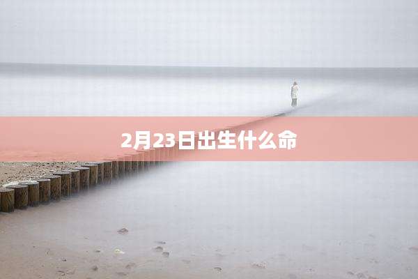 2月23日出生什么命