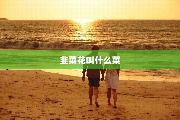 韭菜花叫什么菜