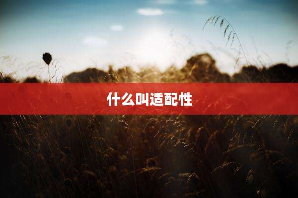 什么叫适配性
