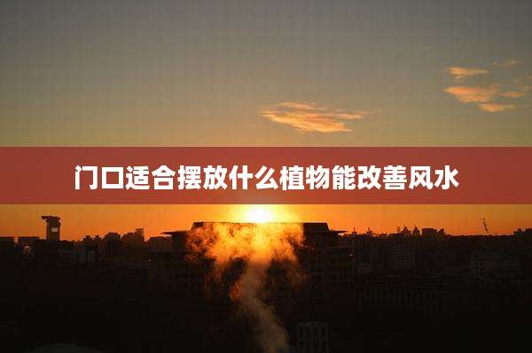 门口适合摆放什么植物能改善风水