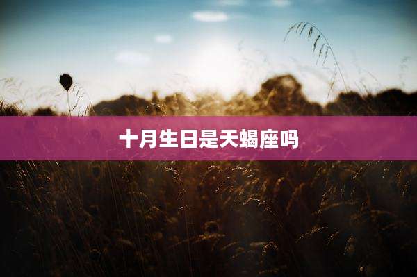 十月生日是天蝎座吗