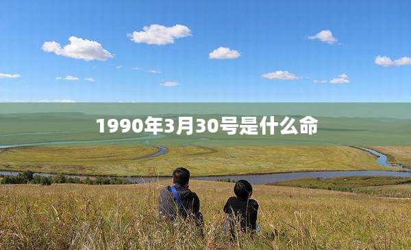 1990年3月30号是什么命