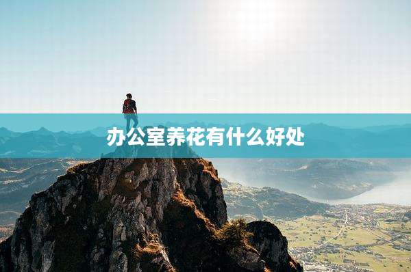 办公室养花有什么好处