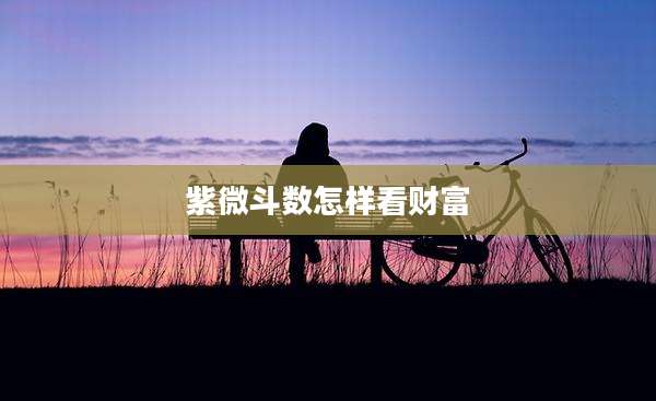 紫微斗数怎样看财富
