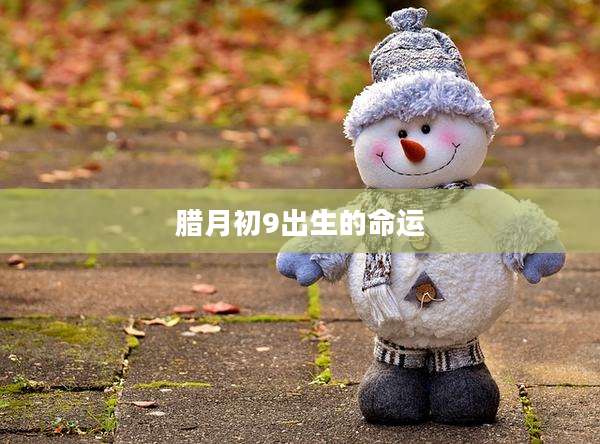 腊月初9出生的命运
