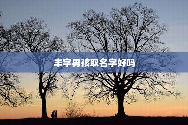 丰字男孩取名字好吗