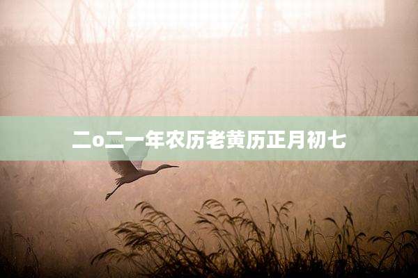 二o二一年农历老黄历正月初七