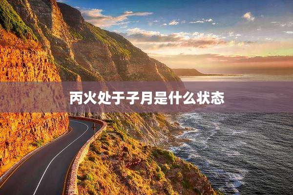 丙火处于子月是什么状态