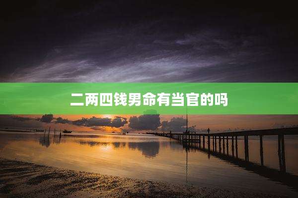 二两四钱男命有当官的吗