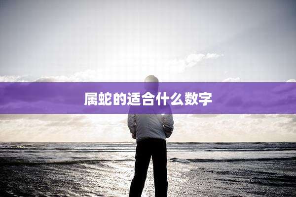 属蛇的适合什么数字