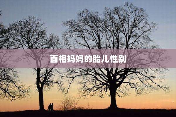 面相妈妈的胎儿性别