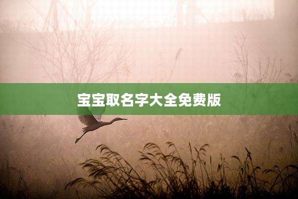 宝宝取名字大全免费版