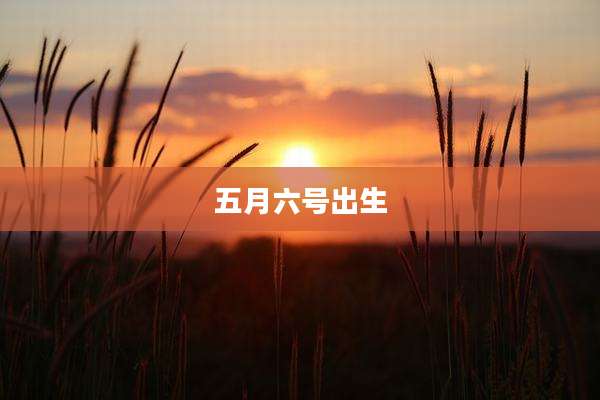 五月六号出生
