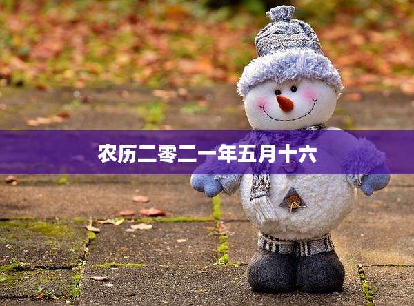 农历二零二一年五月十六